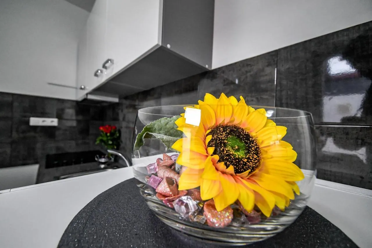 Apartments Joso Rtina